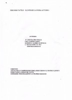 /album/poesia-illustrata/img2-001-jpg/